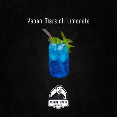 yaban-mersinli-limonata